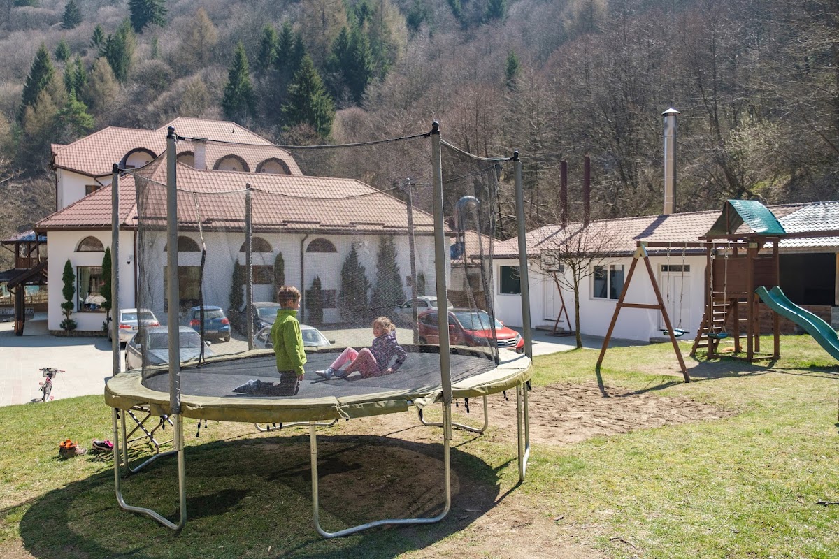 Pensiunea Sibiel - foto 1