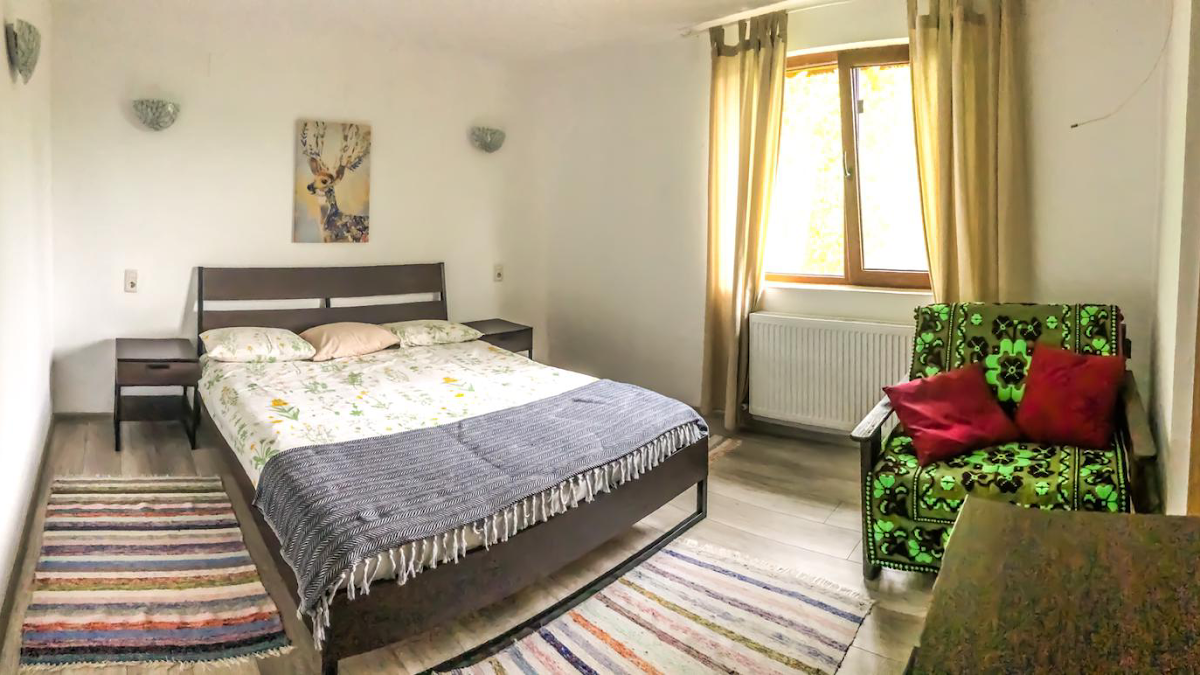 Pensiunea Silva - foto 2