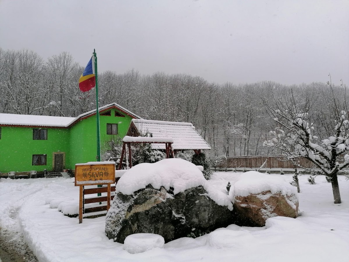 Pensiunea Silva - foto 3