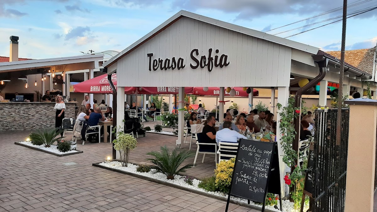 Pensiunea Sofia Pecica - foto 1