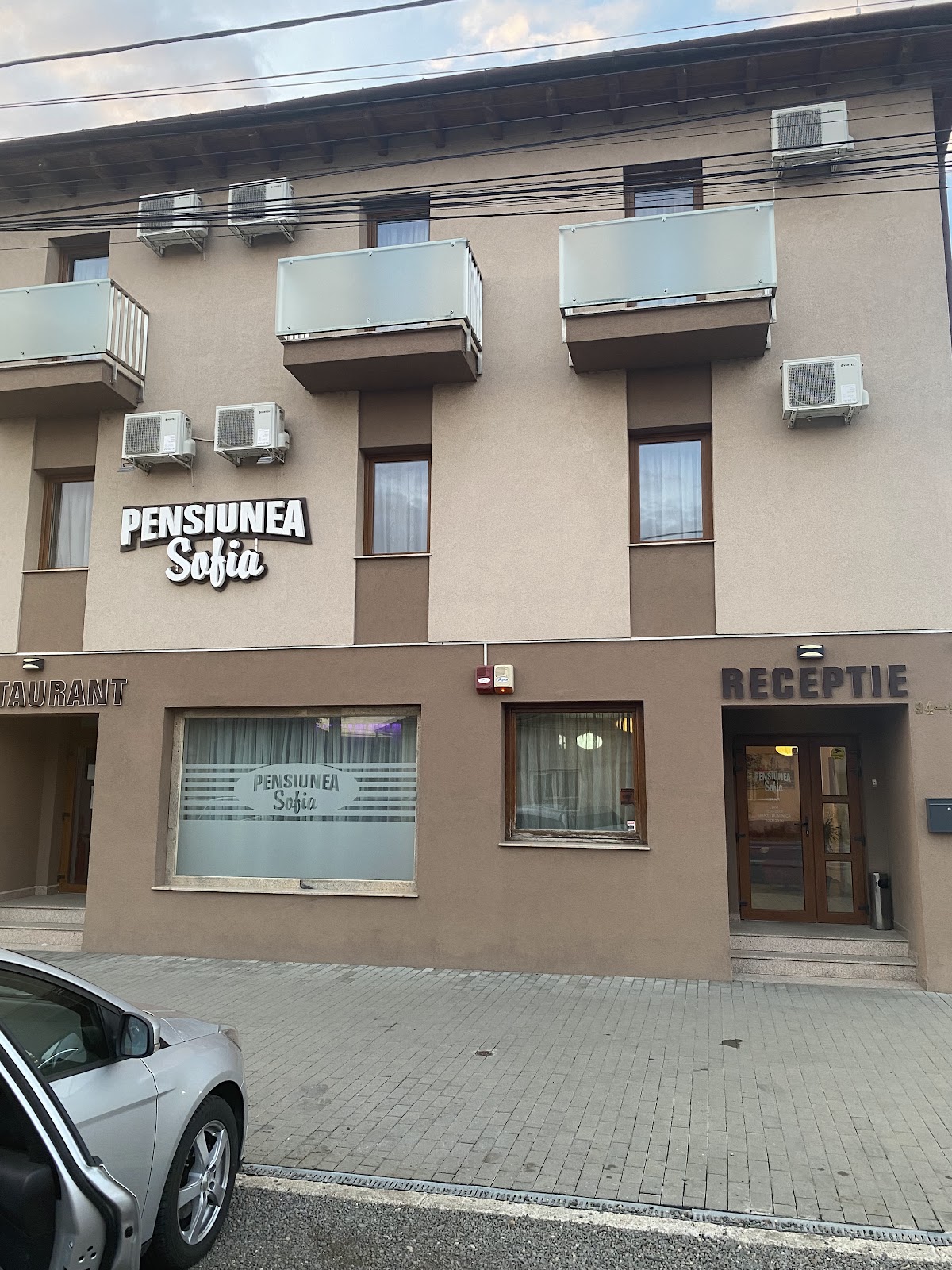 Pensiunea Sofia Pecica - foto 3