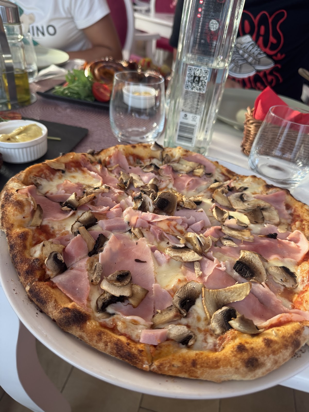 Pensiunea Sofia Pecica - foto 4