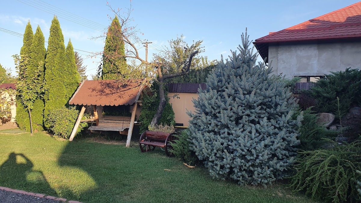 Pensiunea Șoimul