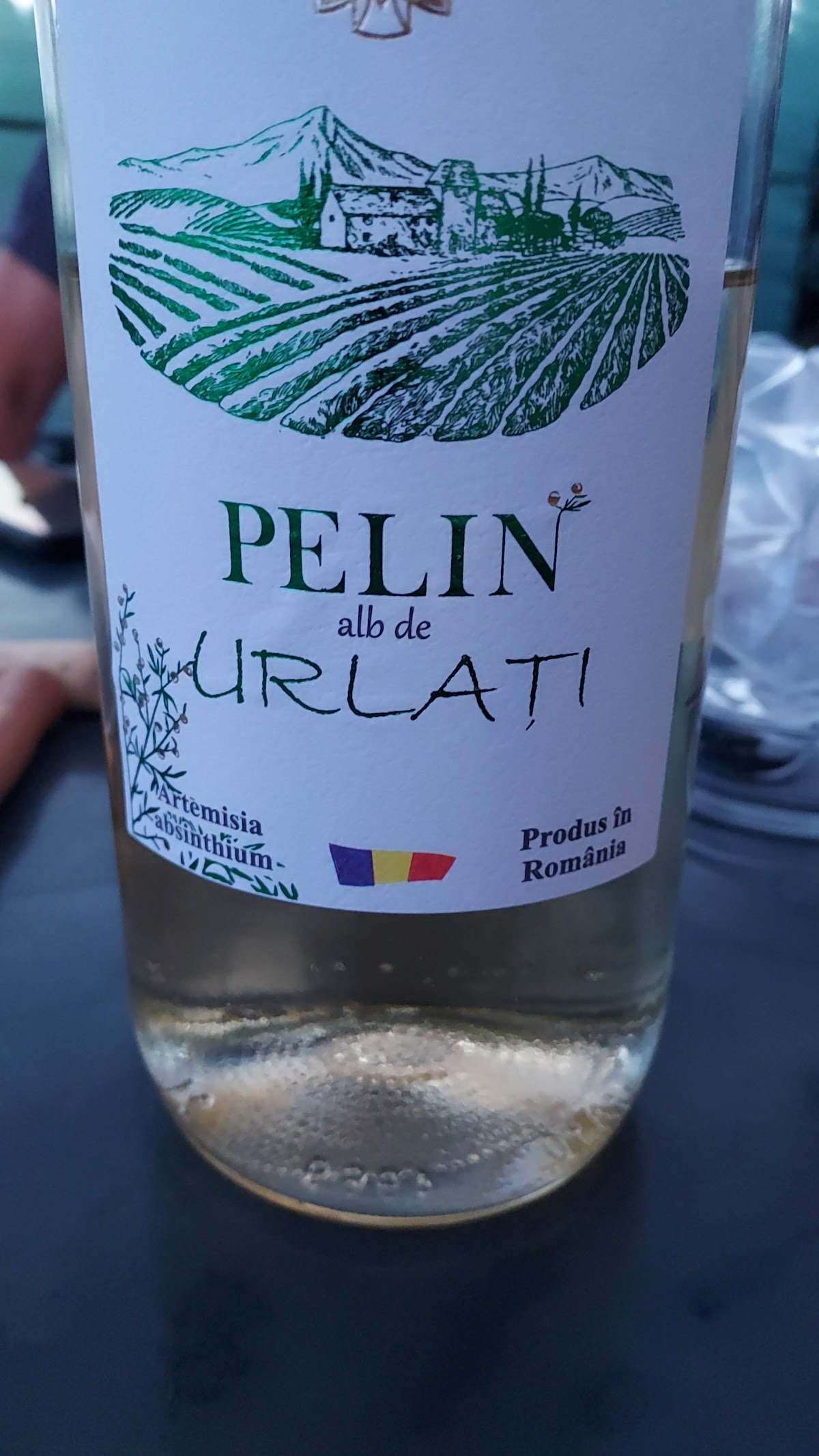 Pensiunea Șoimul