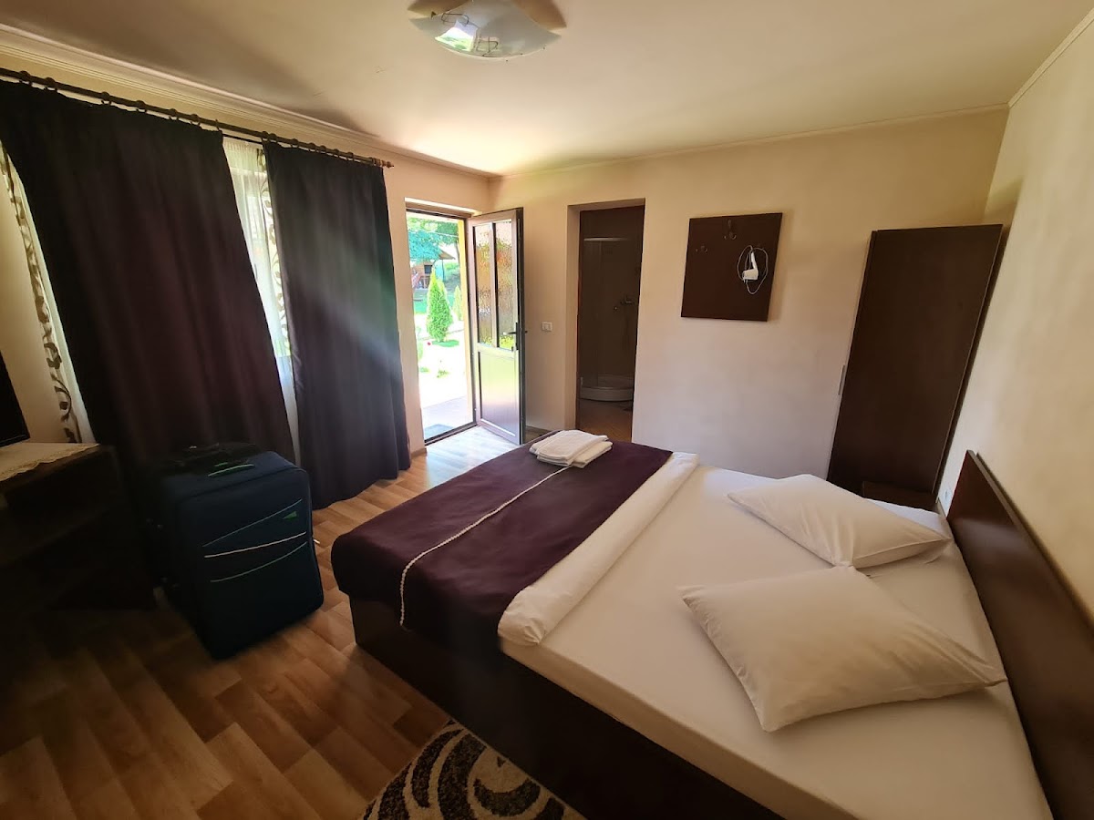 Pensiunea Sonia - Cârțișoara - foto 2