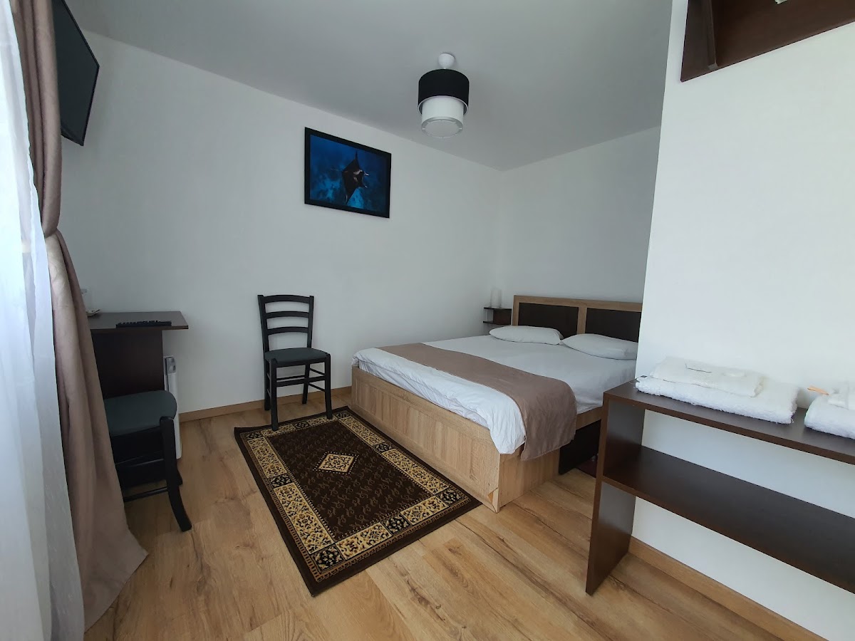 Pensiunea Stan - foto 5