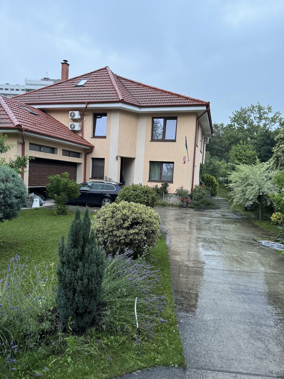 Pensiunea Sun Victor, Băile Felix