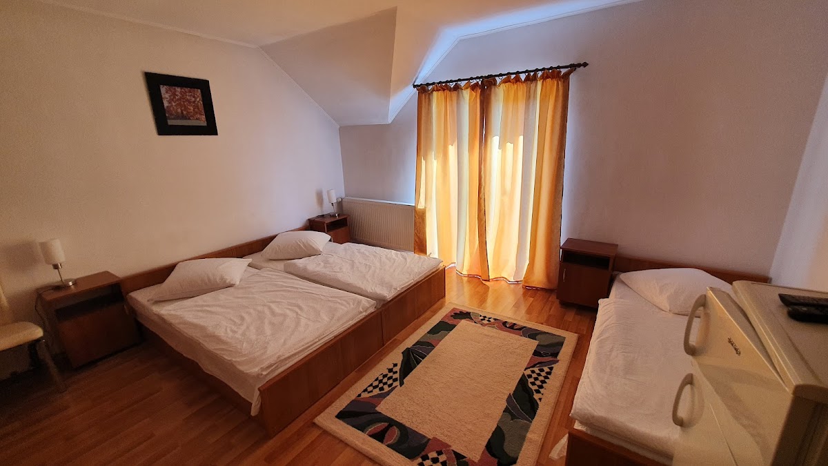 Pensiunea Terra - foto 2