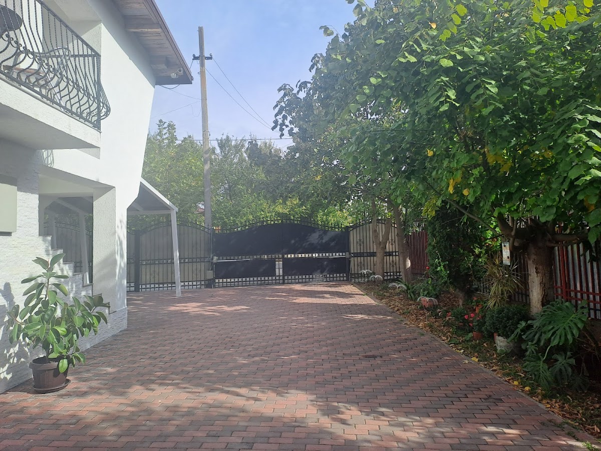 Pensiunea Theo Enelid - foto 5