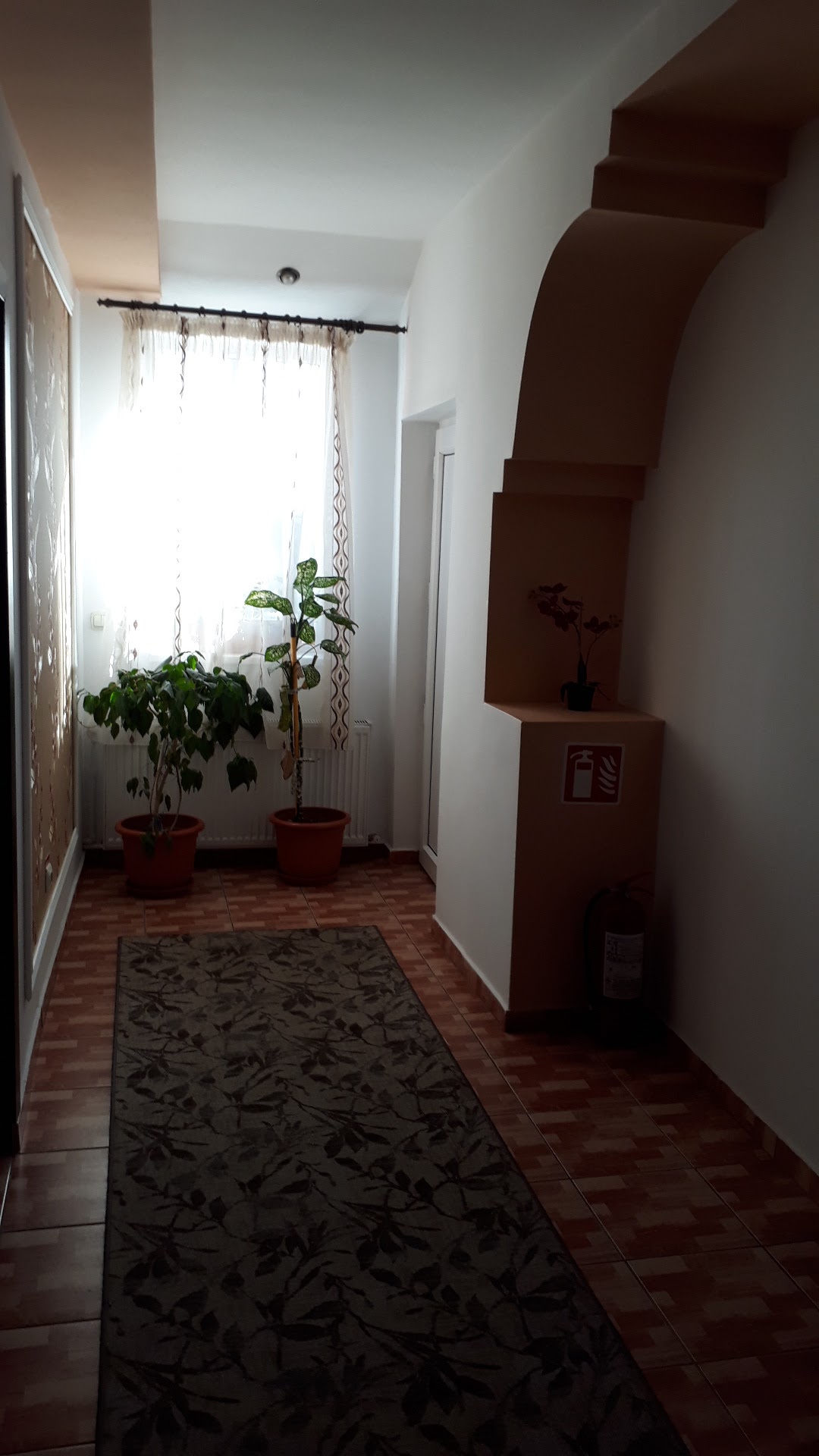 Pensiunea Toma - foto 5