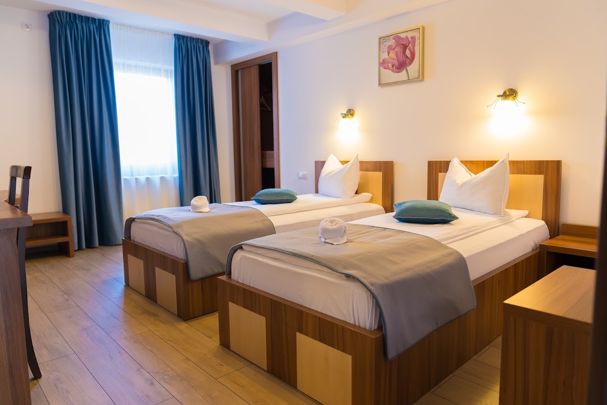 Pensiunea Transilvania - foto 2