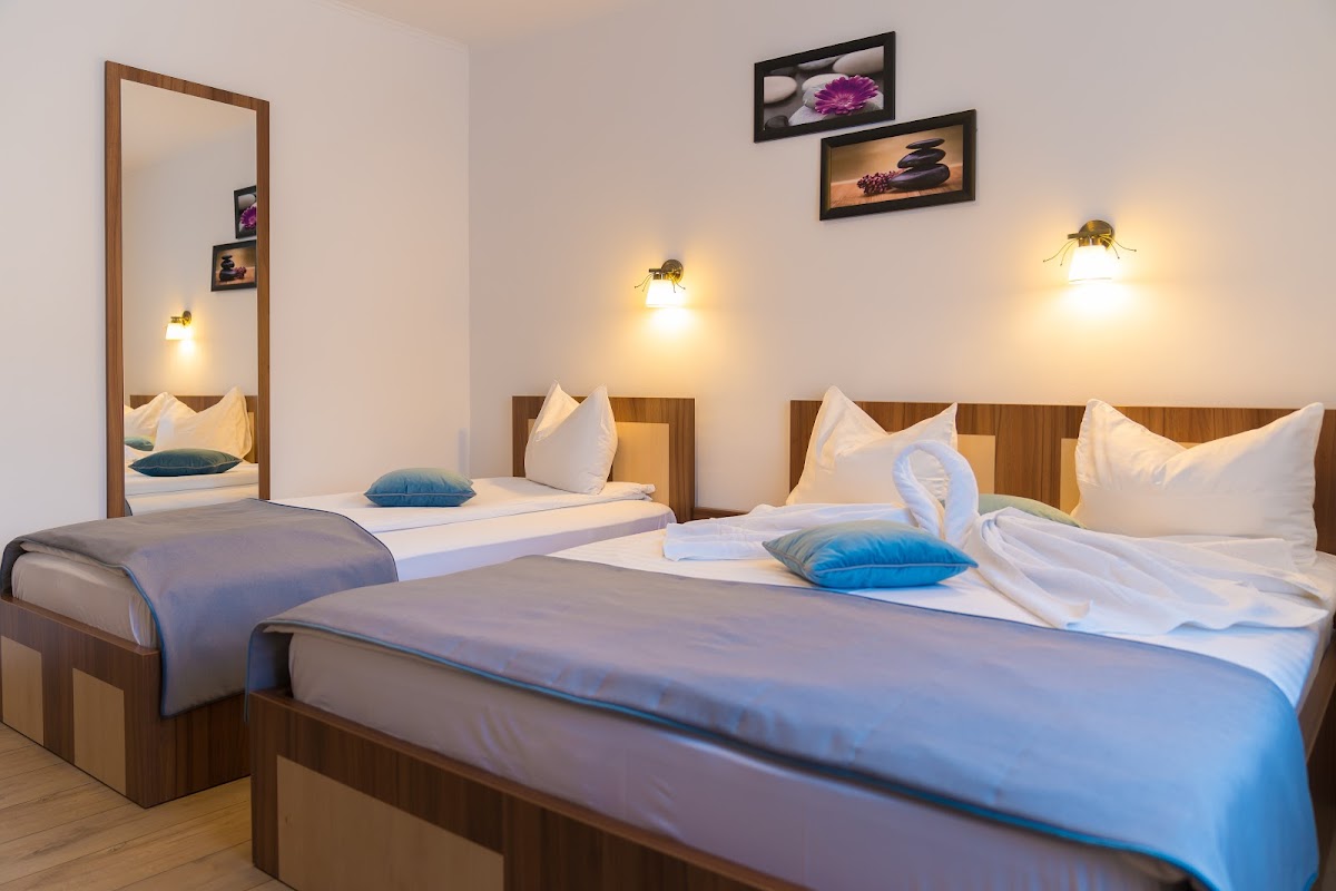 Pensiunea Transilvania - foto 4