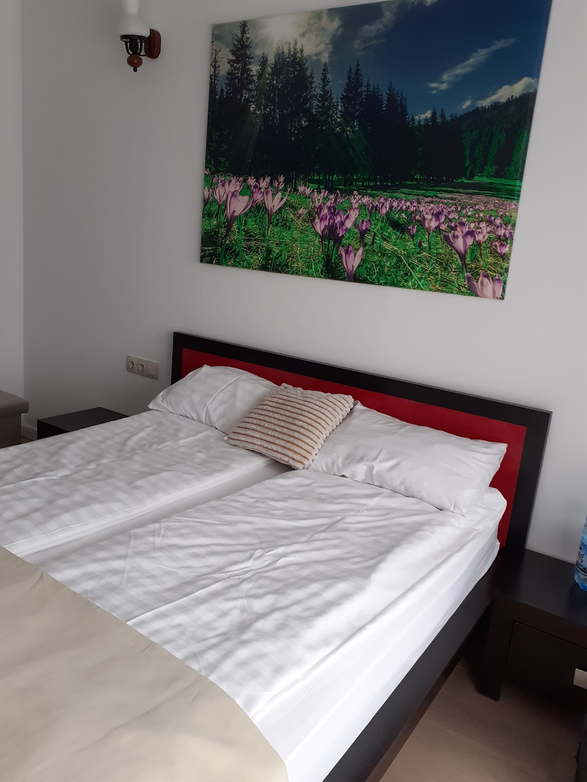 Pensiunea Trecătoarea Lupilor - foto 2