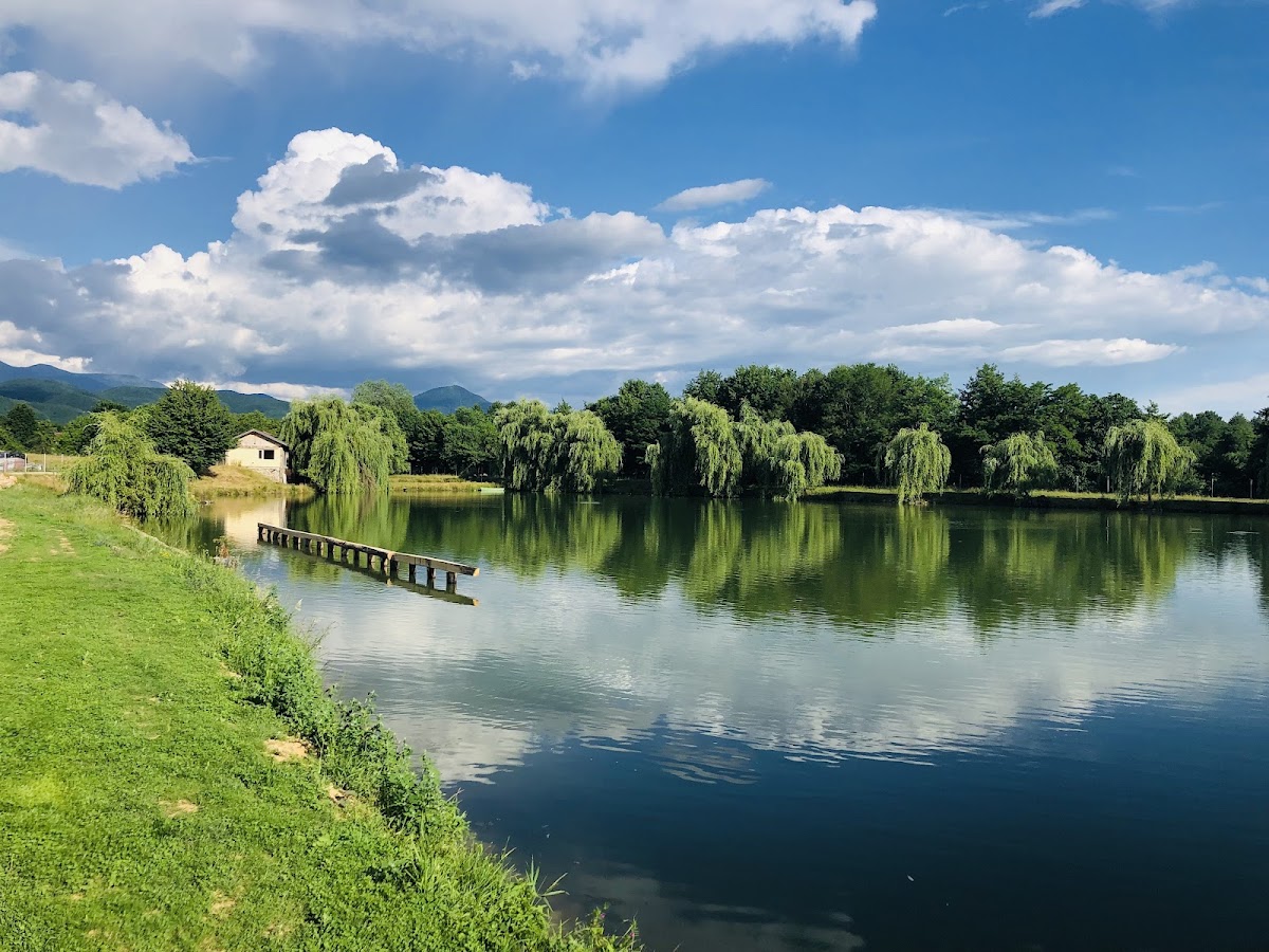 Pensiunea Trecătoarea Lupilor - foto 3