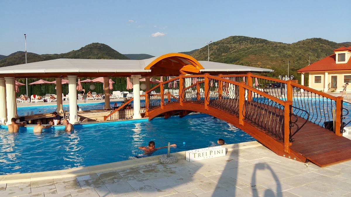 Pensiunea Trei Pini - foto 3