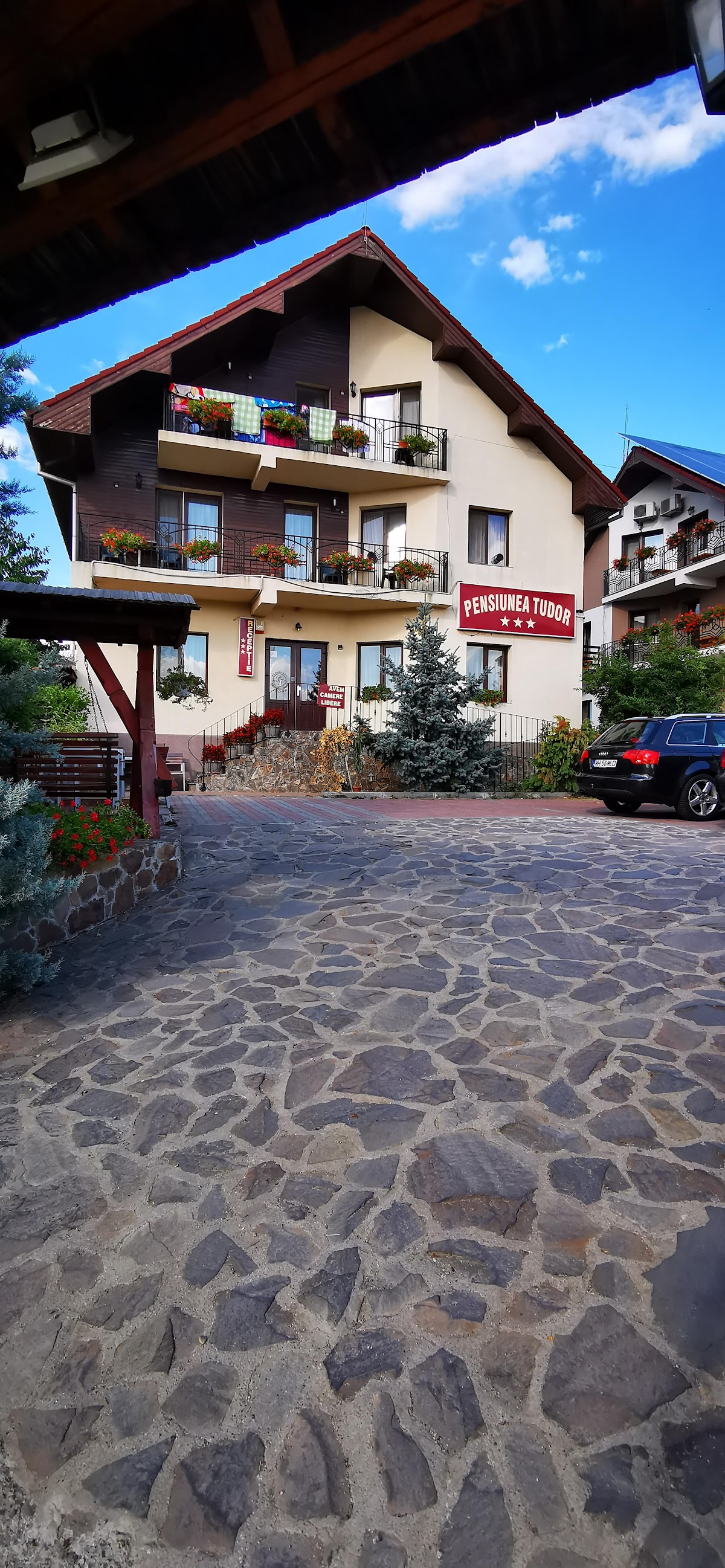Pensiunea Tudor, Băile Felix