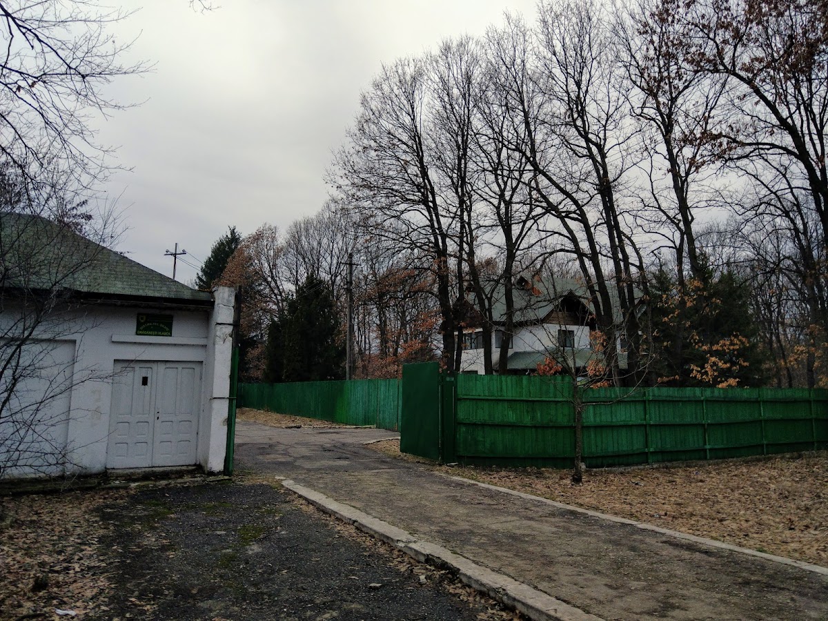 Touristenpension Dârvași, Drăgăneşti-Vlaşca