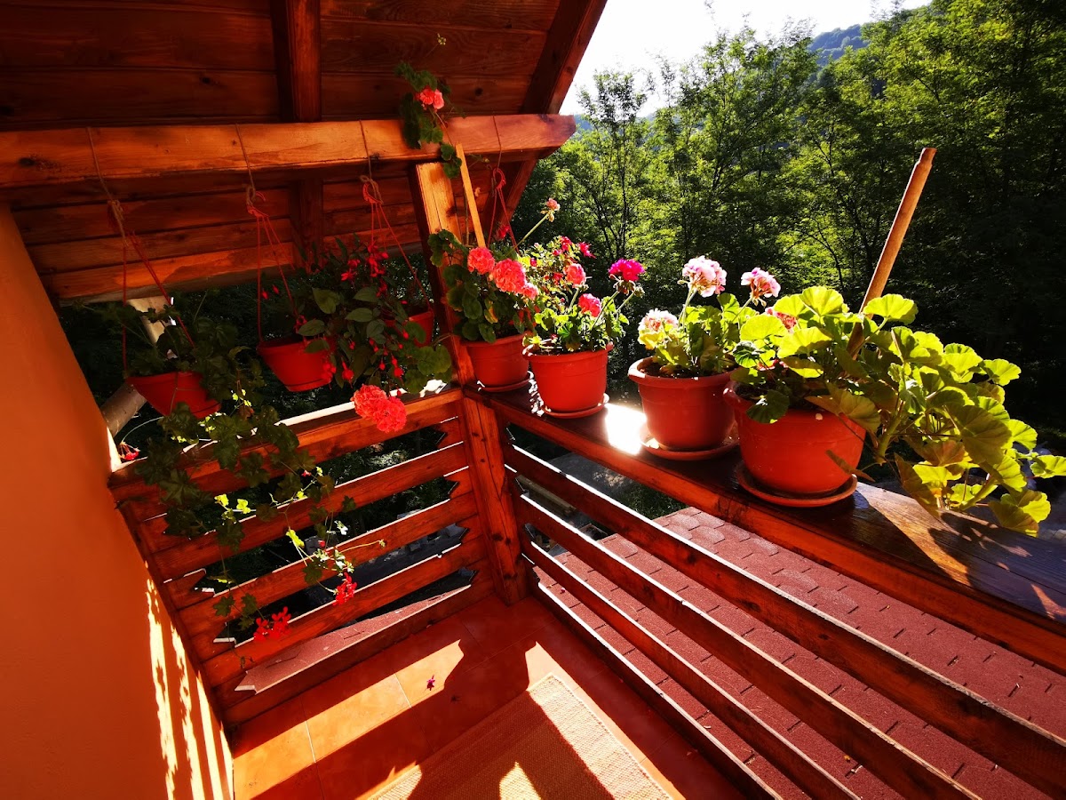 Pensiunea Valea Badilii