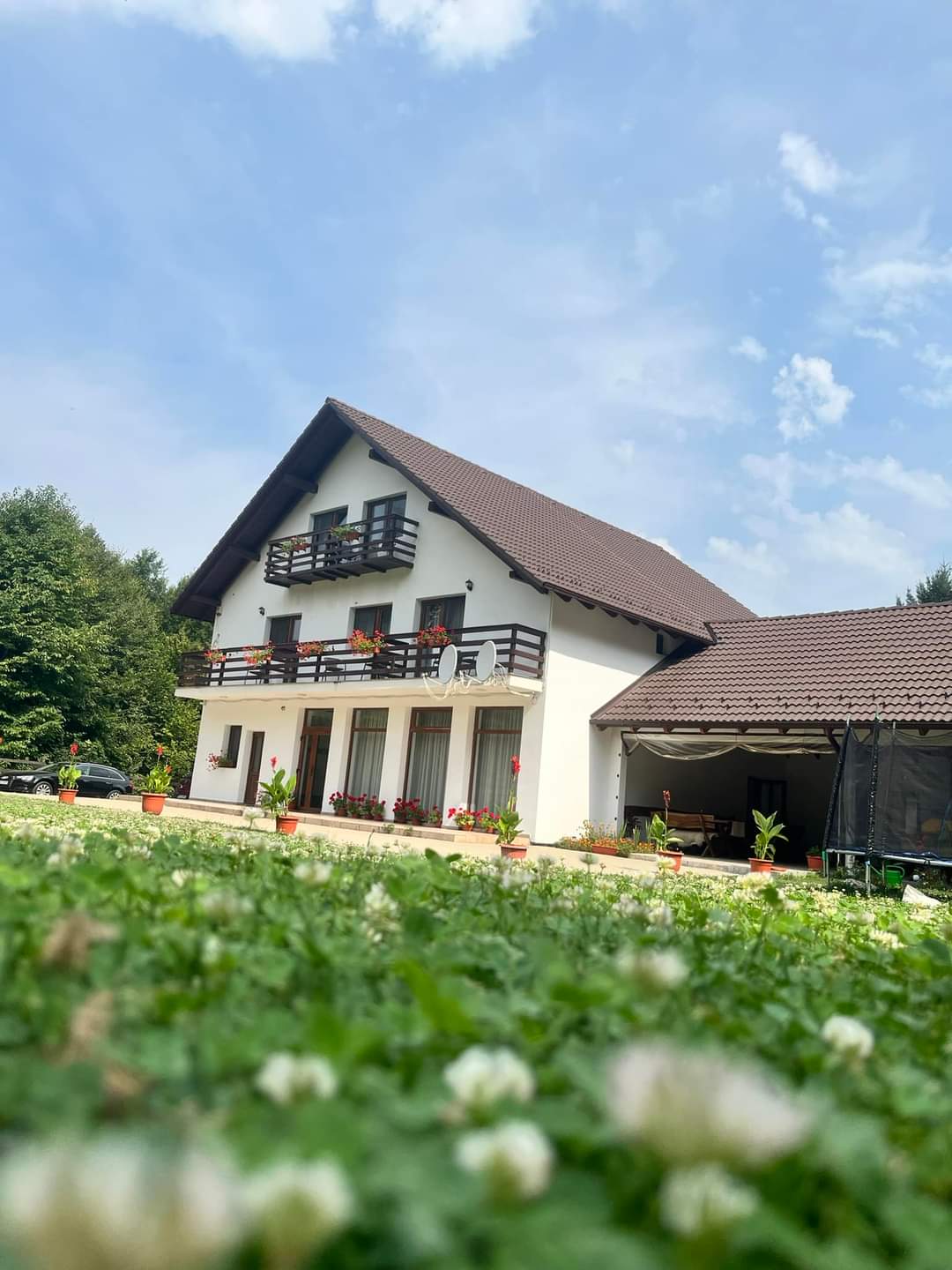 Pensiunea Valea Lisei