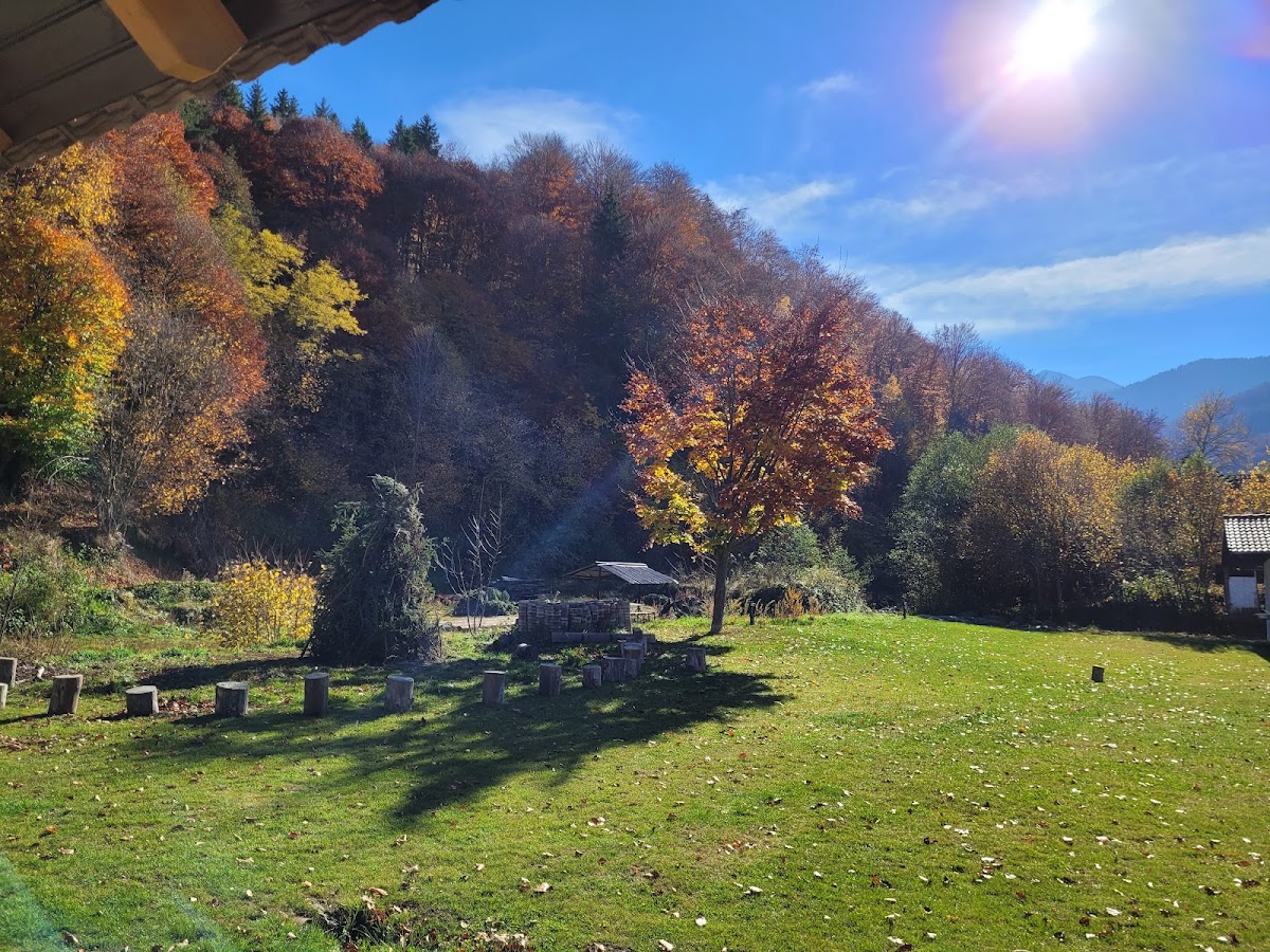 Pensiunea Valea Lisei