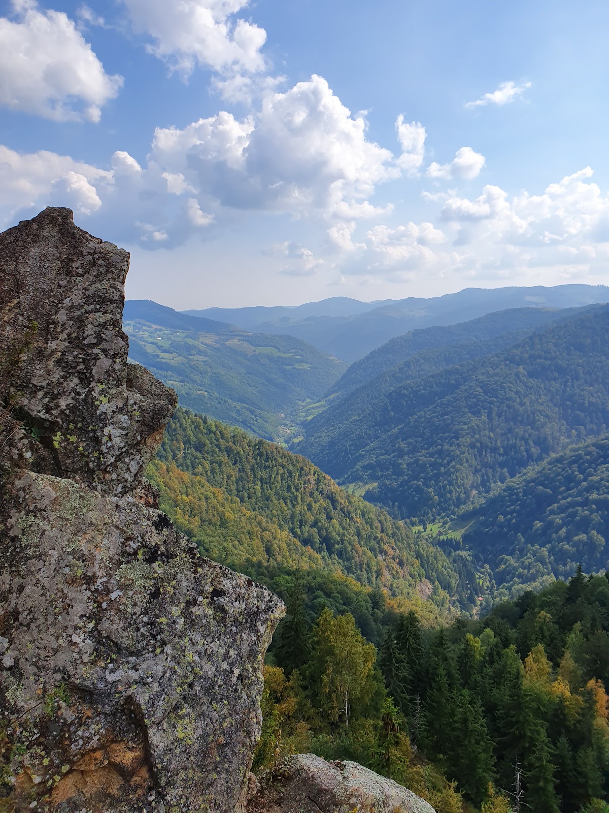 Pensiunea Valea Paradisului