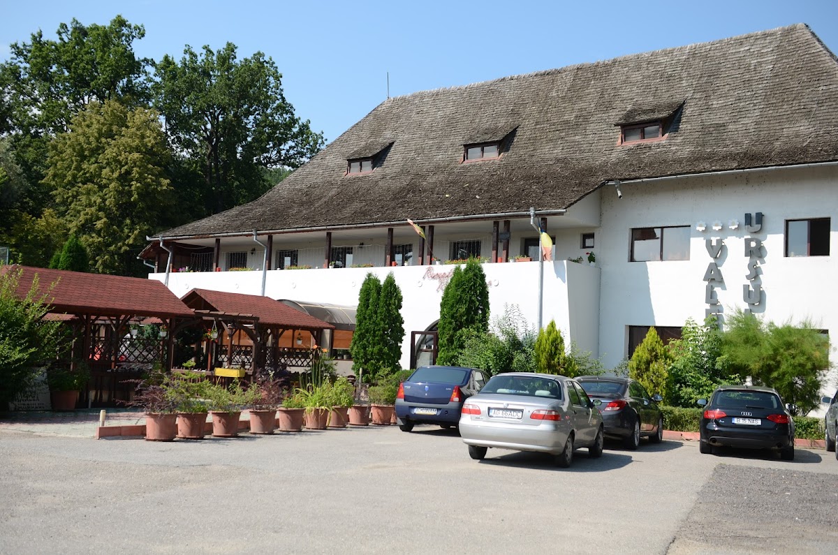 Pensiunea Valea Ursului - foto 3