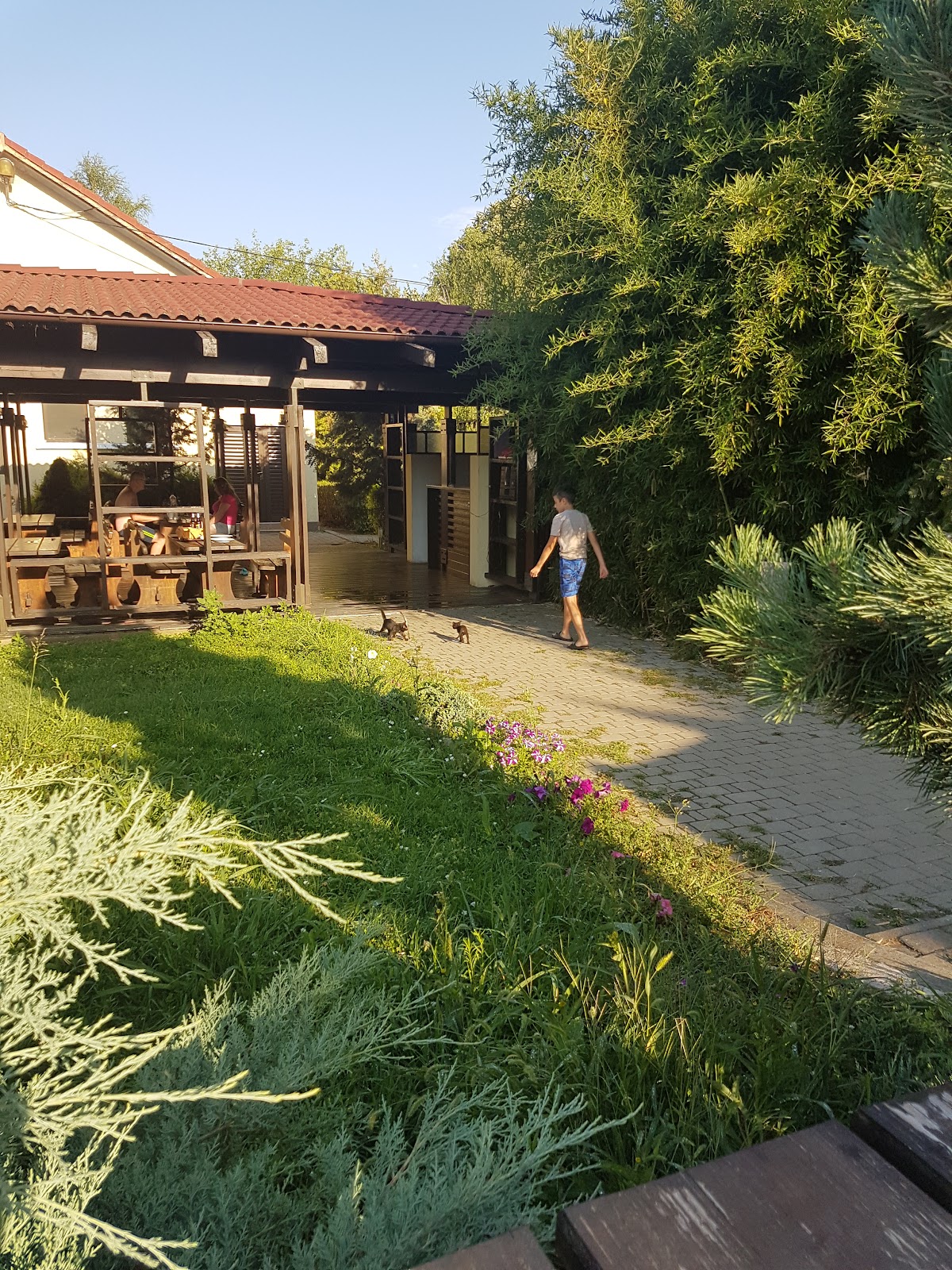 Pensiunea Varias, Variaş