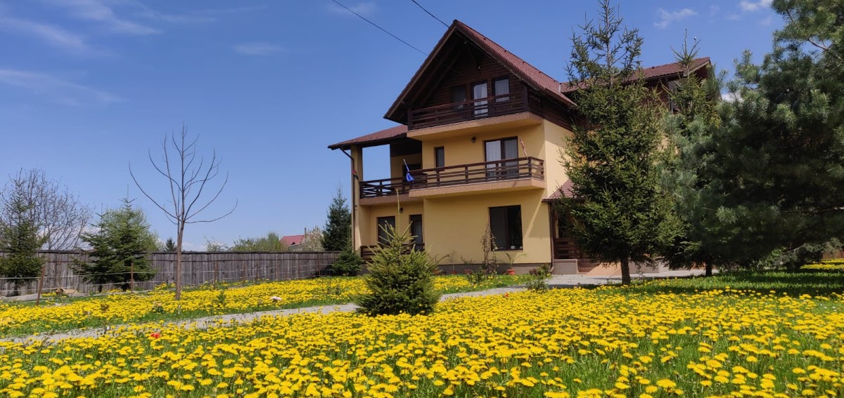 Pensiunea Zizinas