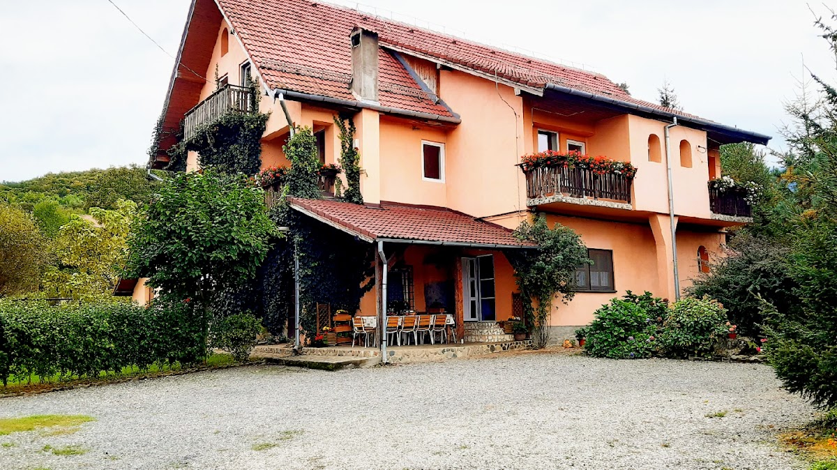 Pensiunea Zsolt&Erika la Cascadă - foto 5