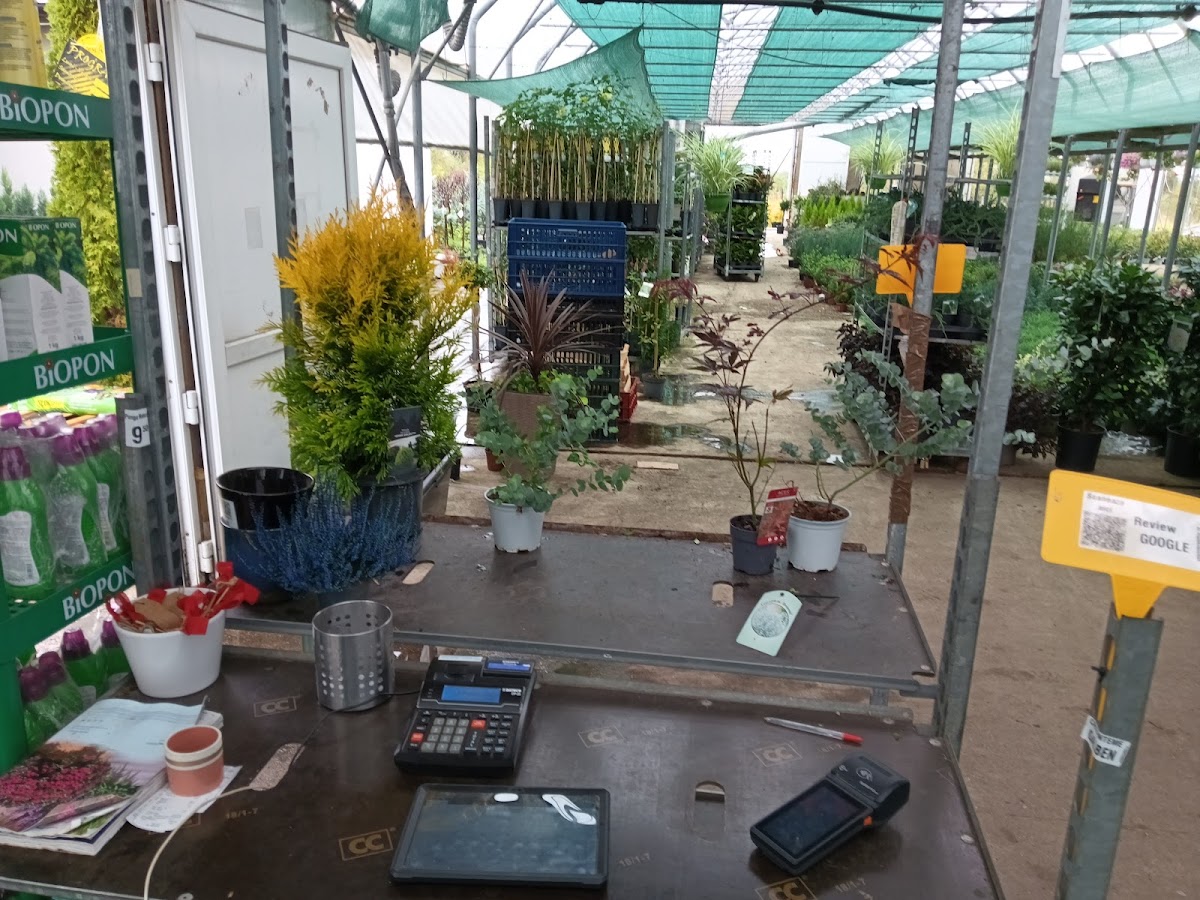 Pépinière Sibiu - Serre Camélia - foto 3