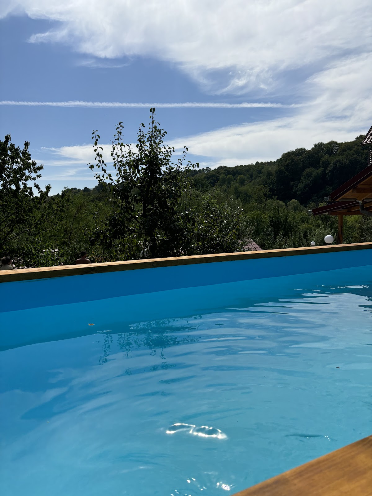 Perla Argesului romantisches elegantes Hotel mit Pool, Partys, Garten, Innenhof, Parkplatz, Unterkunft Transfagarasan Curtea de Arges
