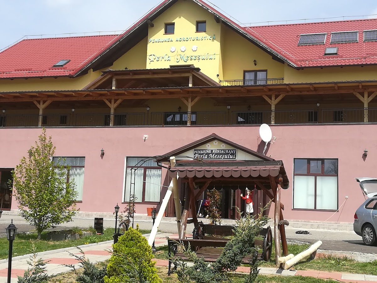 Perla Meseșului