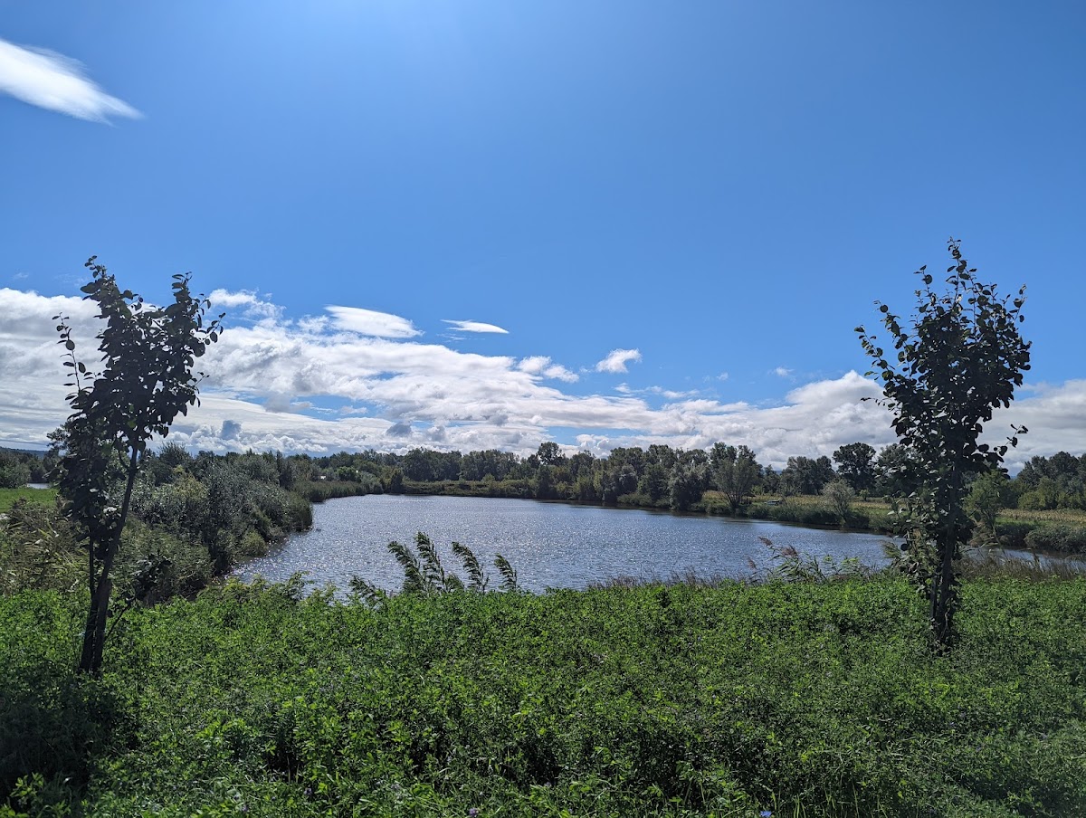 Pescăria Valea lui Mihai - foto 3