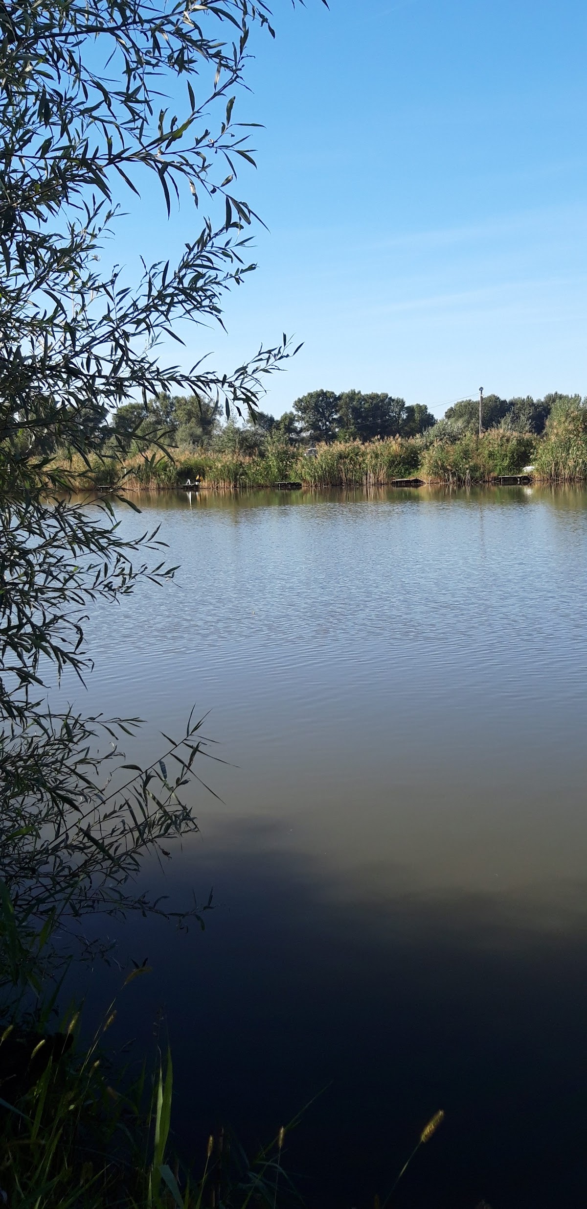 Pescăria Valea lui Mihai - foto 4