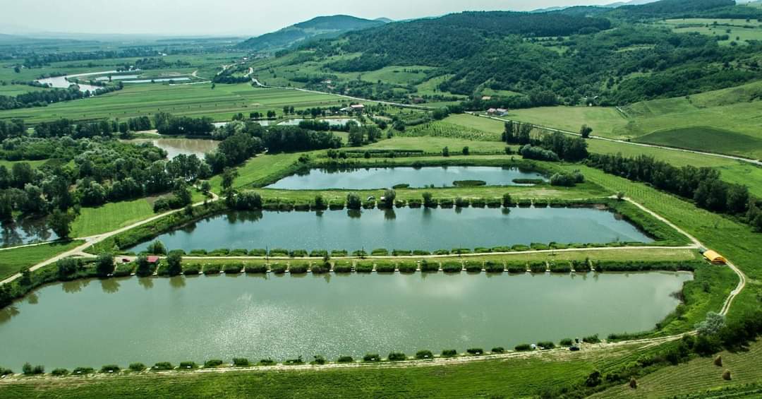 Pescăria Valea lui Mihai - foto 5