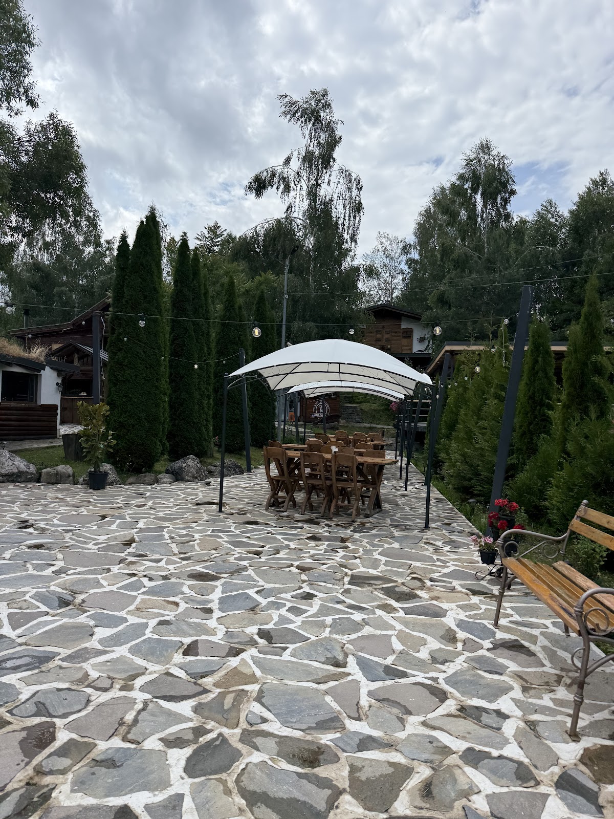 Pește - foto 4