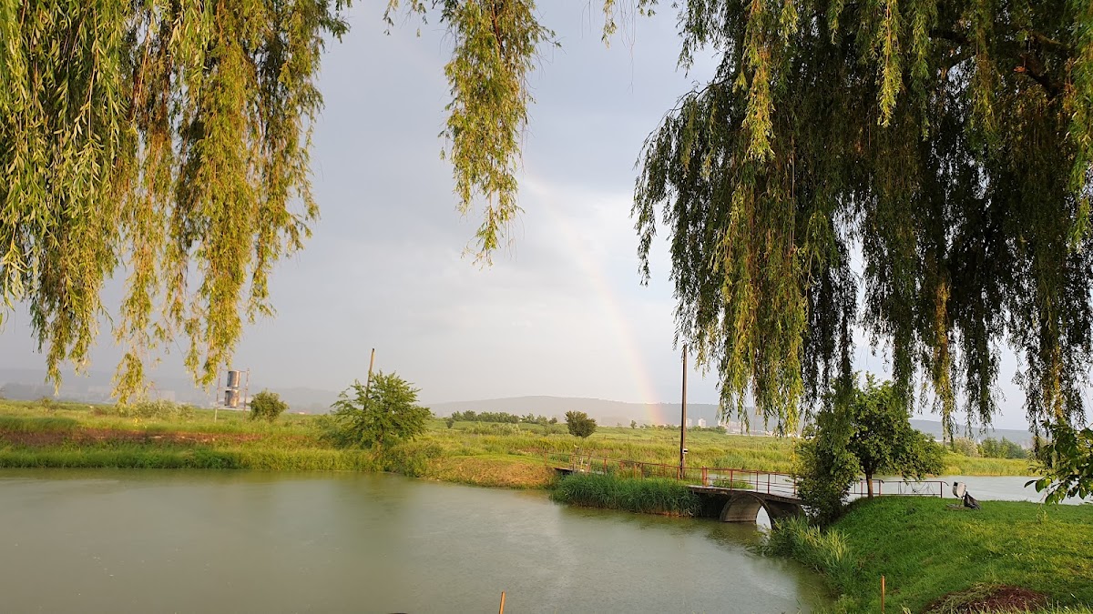 Pește Bun de la Marcel - foto 3