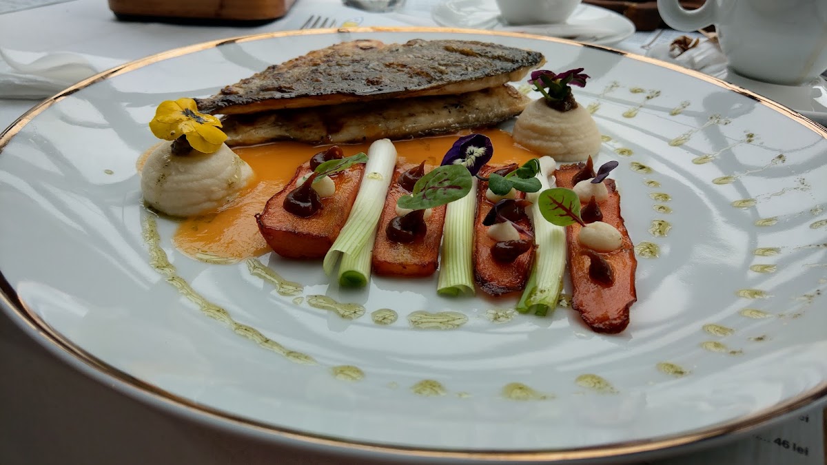 Fish and Wine - foto 2