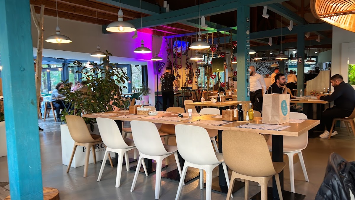 Fish and Wine - foto 4