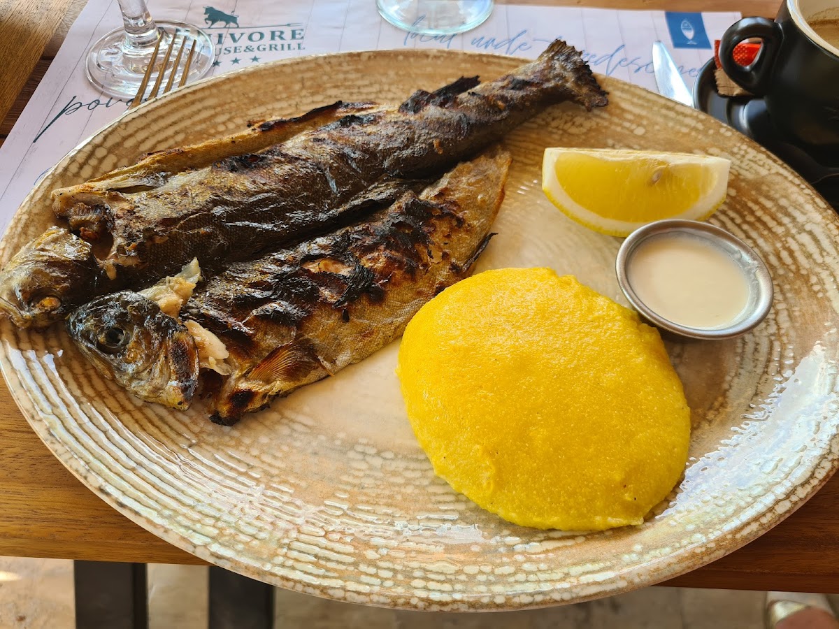 Fish and Wine - foto 5