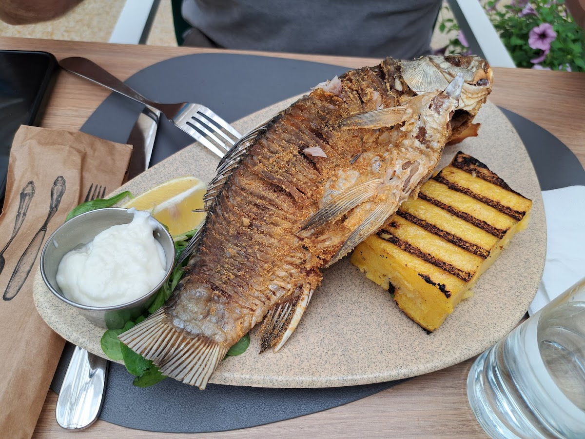 Peștele Mustăcios Restaurant - foto 5