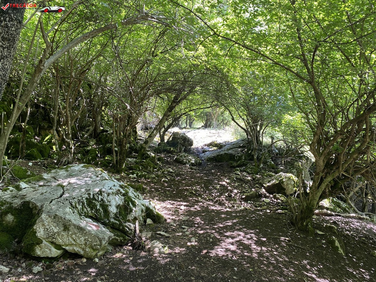 Pestera Balta - foto 5