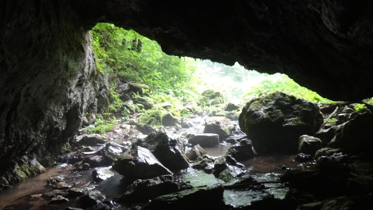 Pestera Buhui - foto 2