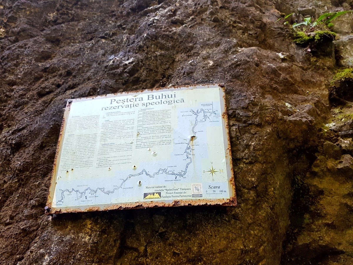 Pestera Buhui - foto 4