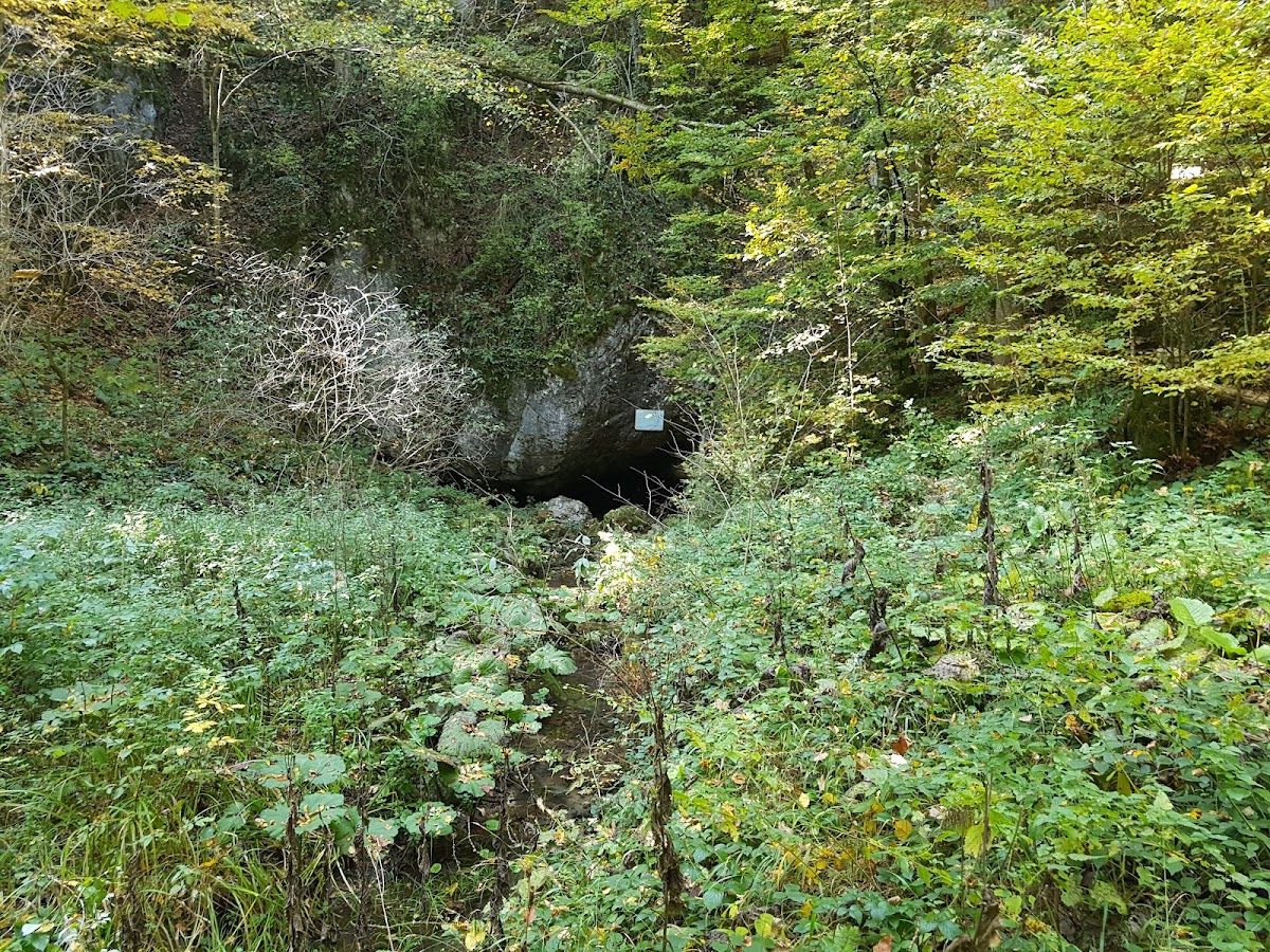 Pestera Buhui - foto 5