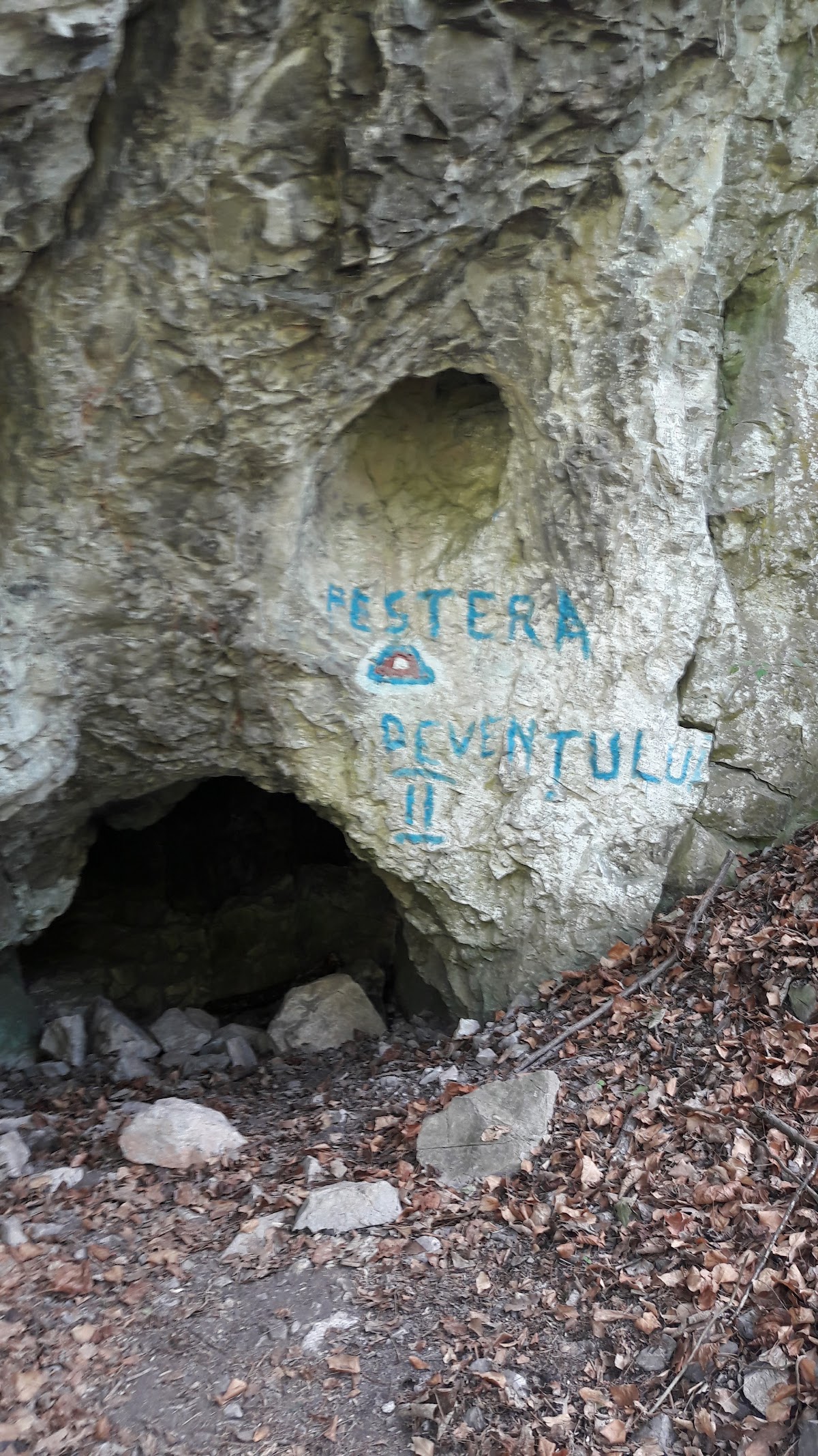 Grotta della Capra - foto 3