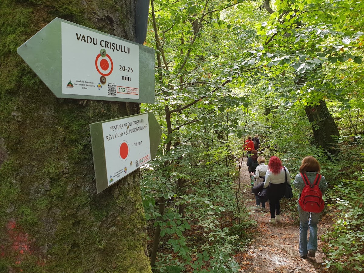 Grotta della Capra - foto 5