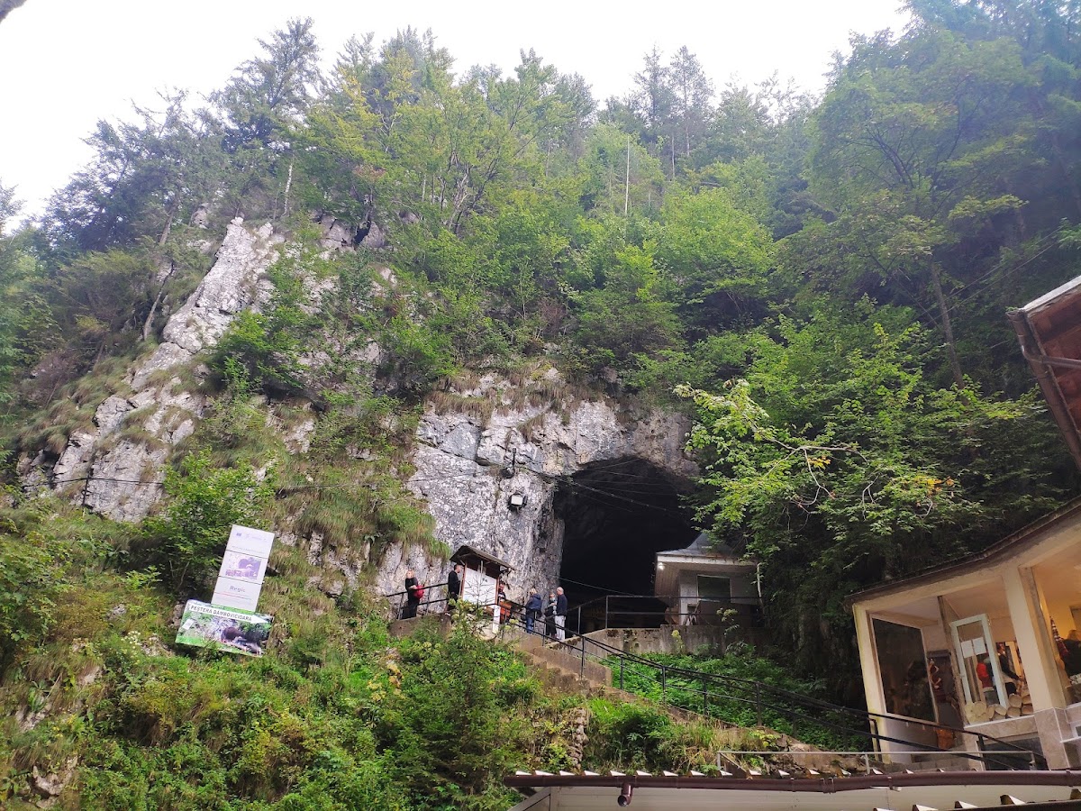 Dâmbovicioara