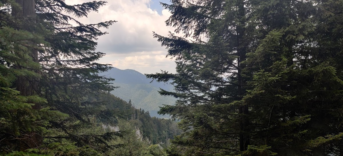 Peștera de Gheață - foto 4
