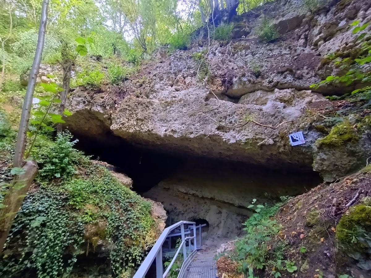 Peștera de la Stracoş - foto 4